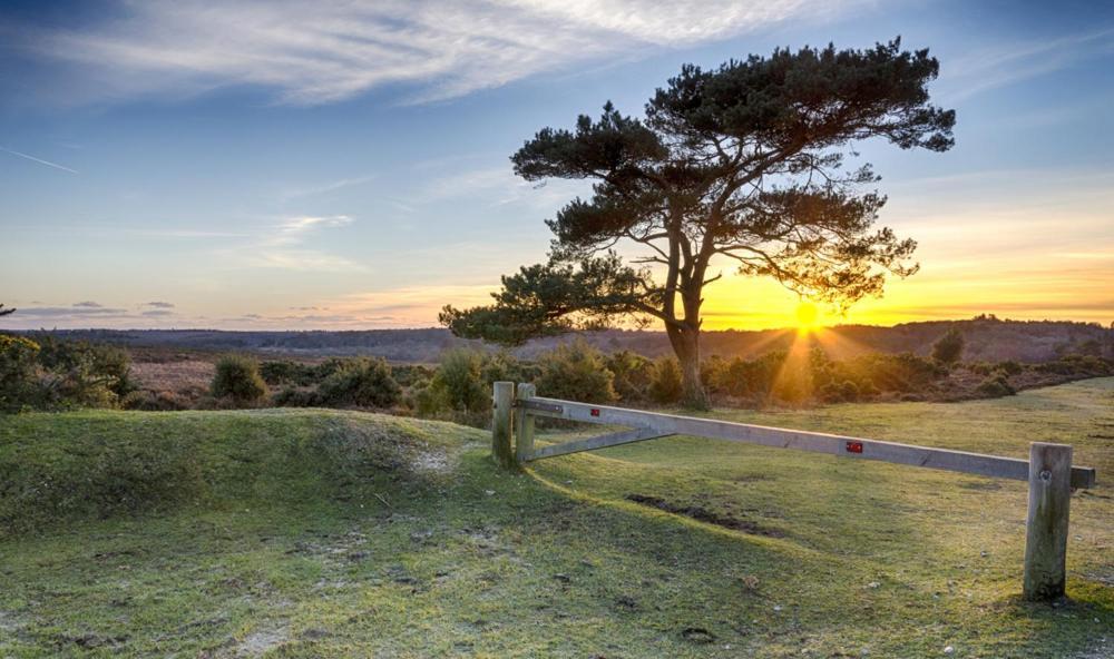 The Knightwood Oak A Luxury King Size En-Suite Space - Lymington New Forest With Totally Private Entrance - Key Box Entry - Free Parking & Private Outdoor Seating Area - Town ,Shops , Pubs & Solent Way Walking Distance & Complimentary Breakfast Items 外观 照片