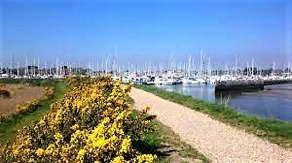 The Knightwood Oak A Luxury King Size En-Suite Space - Lymington New Forest With Totally Private Entrance - Key Box Entry - Free Parking & Private Outdoor Seating Area - Town ,Shops , Pubs & Solent Way Walking Distance & Complimentary Breakfast Items 外观 照片